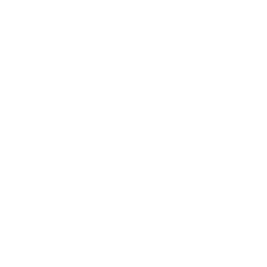 Norn Ventures White Logo